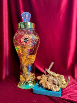 Sâm Ngọc Linh Lai Châu ngâm rượu