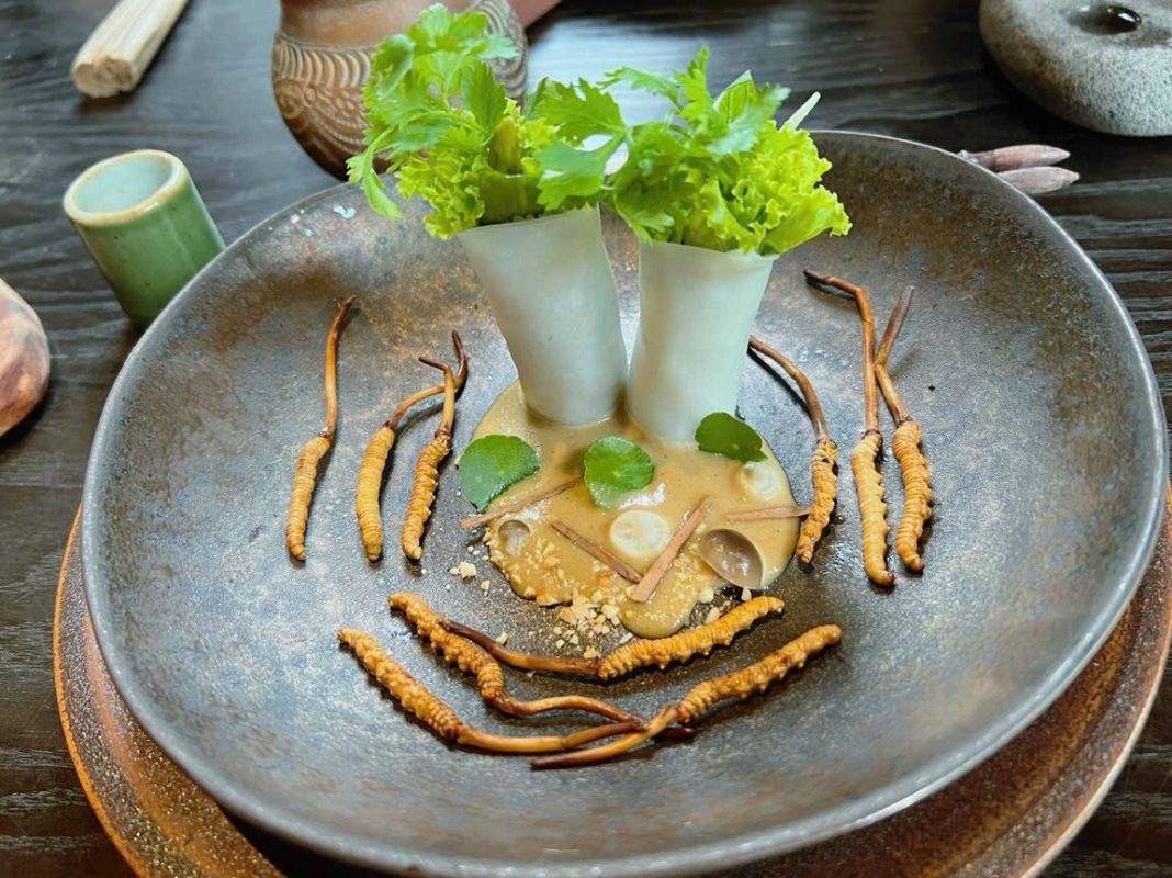 Đông trùng hạ thảo hỗ trợ ung thư