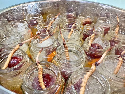 Đông trùng hạ thảo làm đẹp da