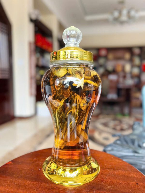 Thiên Sơn Tuyết Liên cho người lớn tuổi có công dụng như nào?
